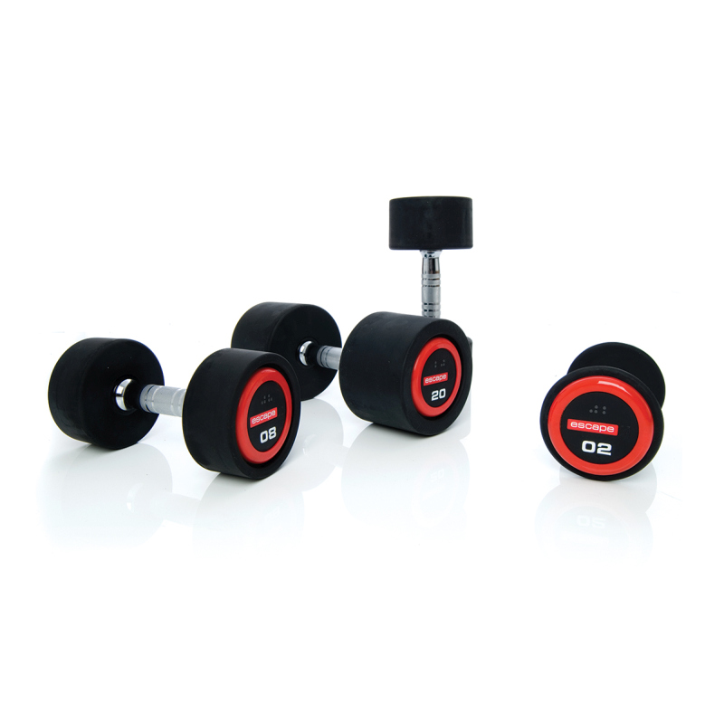 fitness dumbbells buy